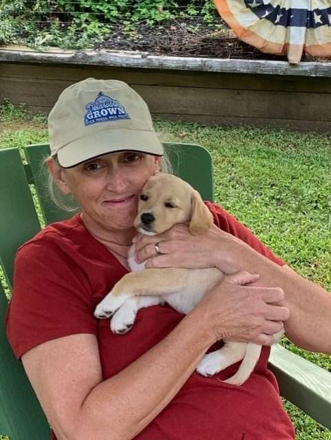 Tracey Quillen Carney